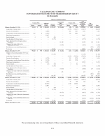 - Consolidated Statements of Shareholders' Equity