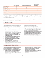 - Audit Committee