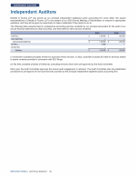 Independent Auditors